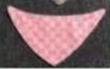 Load image into Gallery viewer, LAVSHPUPZ DESIGNER BANDANA
