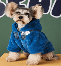 Load image into Gallery viewer, LAVSHPUPZ NORTHFACE JACKET
