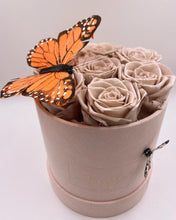 Load image into Gallery viewer, Small Mariposa Rose Box
