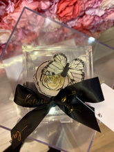 Load image into Gallery viewer, Single acrylic Preserved Rose Box
