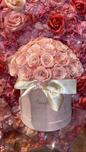 Load image into Gallery viewer, Preserved Rose Dome
