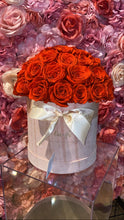 Load image into Gallery viewer, Preserved Rose Dome
