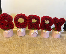 Load image into Gallery viewer, S O R R Y
