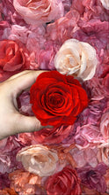 Load image into Gallery viewer, Single rose
