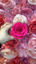 Load image into Gallery viewer, Single rose
